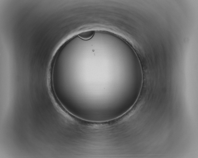 X0000113361518200909151225