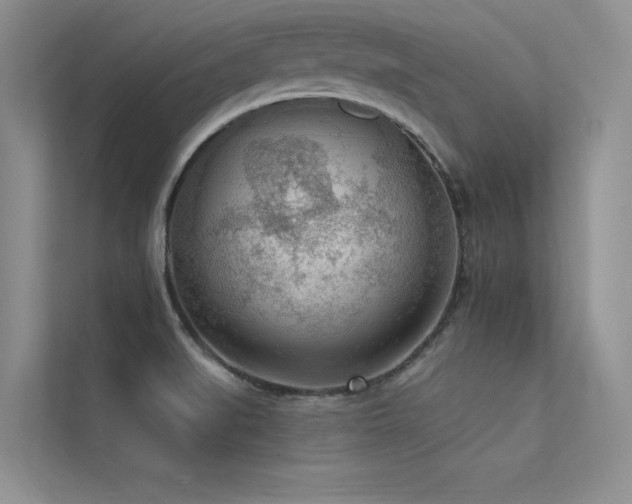 X0000113361519200909151225
