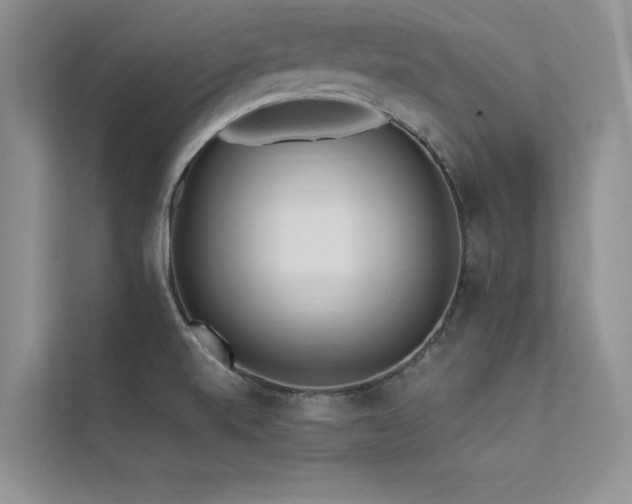 X0000113361520200909151225