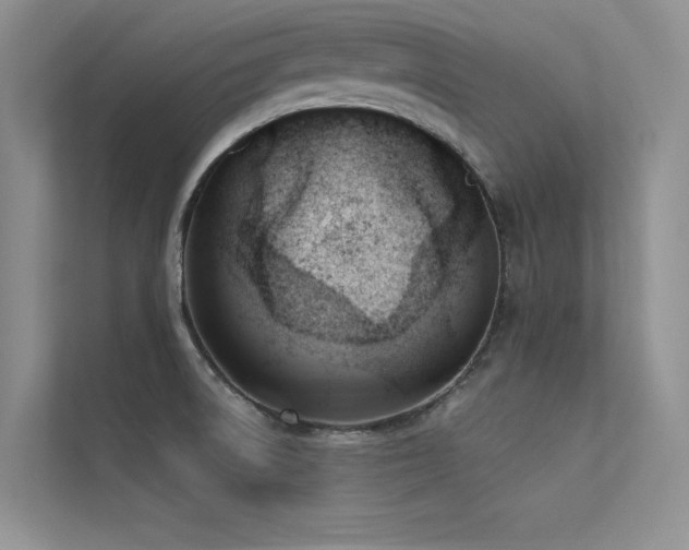 X0000113361522200909151225