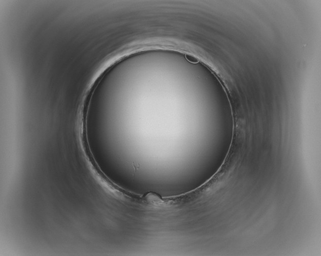 X0000113361523200909151225