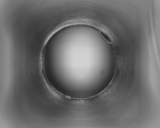 X0000113361524200909151225