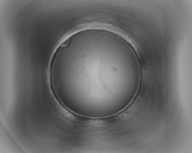 X0000113361525200909151225
