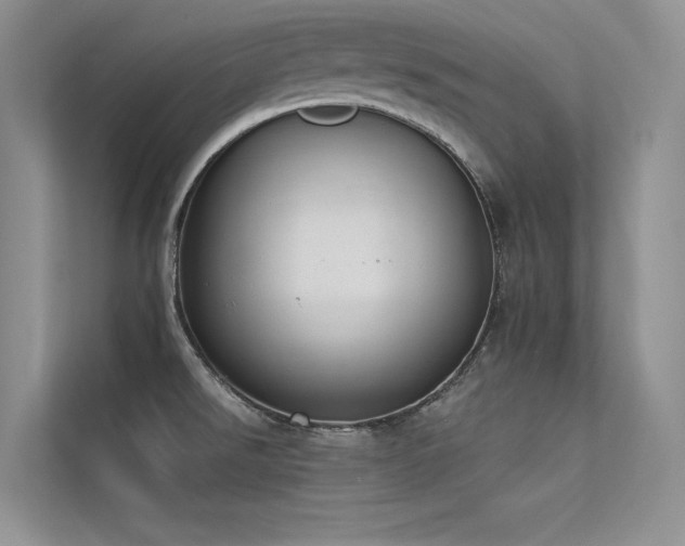 X0000113361526200909151225