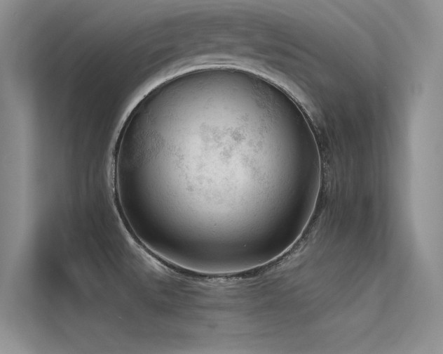 X0000113361527200909151225