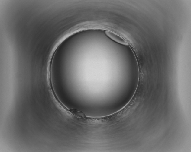 X0000113361528200909151225