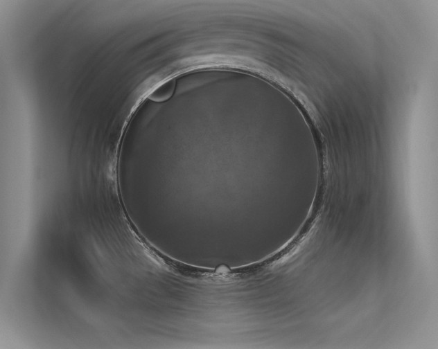 X0000113361529200909151225