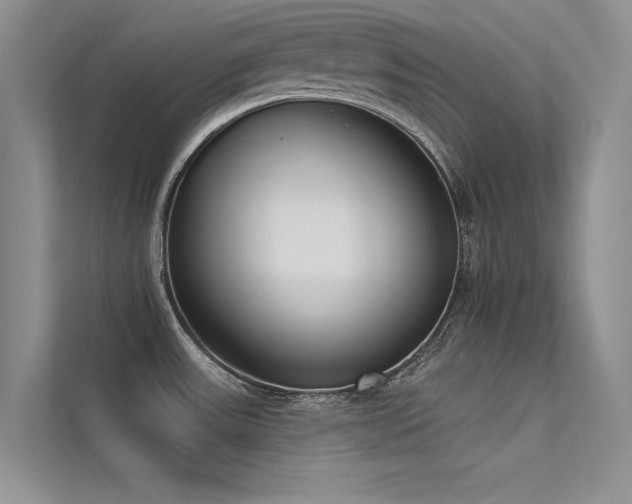 X0000113361531200909151225