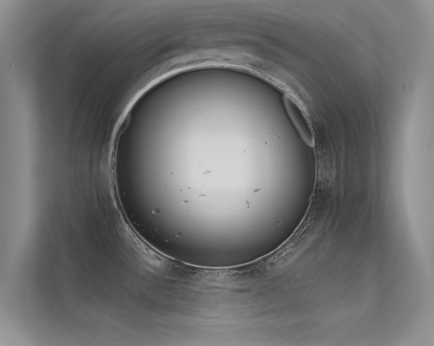 X0000113361532200909151225