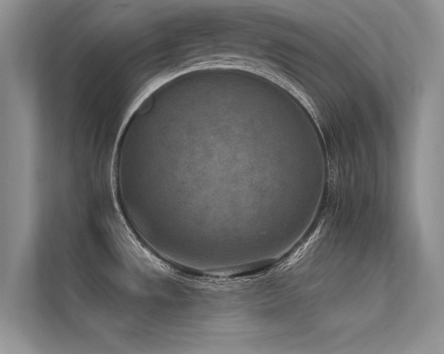X0000113361533200909151225