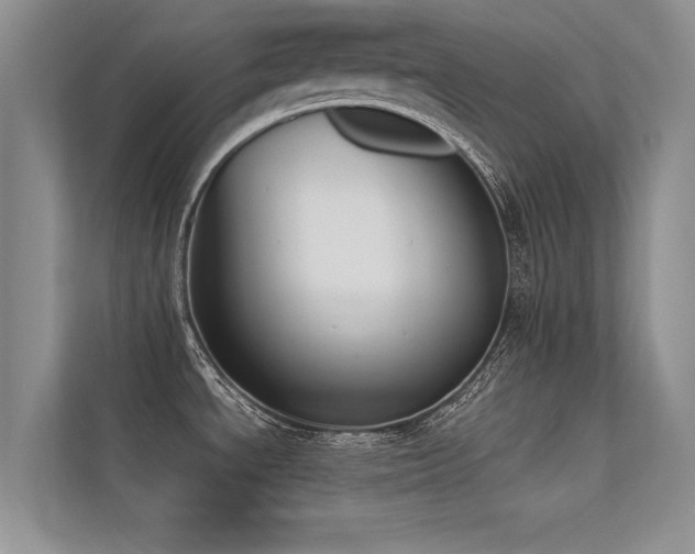 X0000113361534200909151225