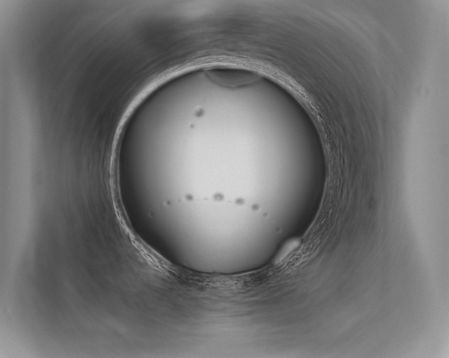 X0000113361536200909151225