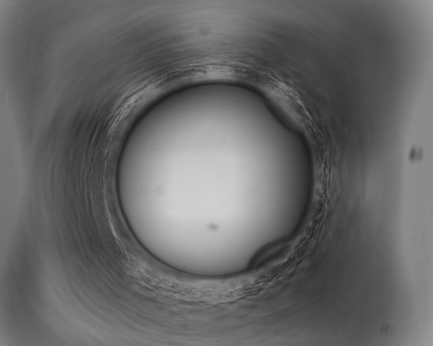 X0000113360001200909221210