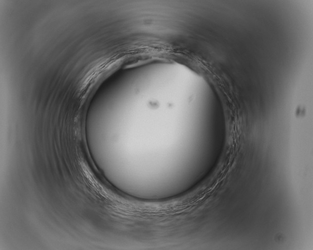 X0000113360002200909221210