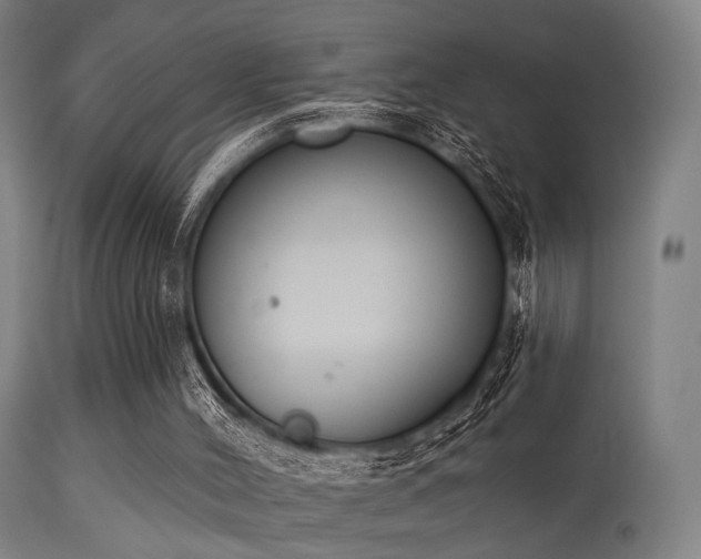 X0000113360004200909221210