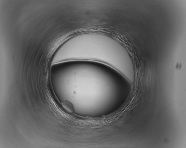X0000113360005200909221210