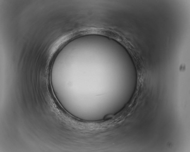 X0000113360006200909221210