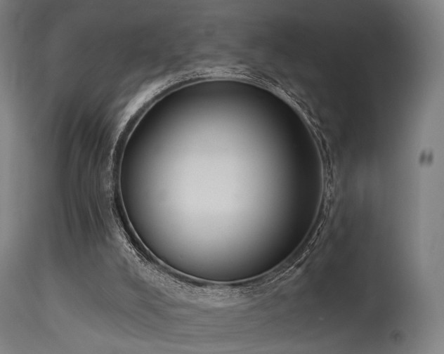 X0000113360008200909221210