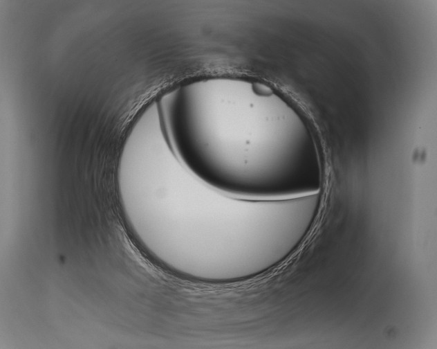 X0000113360009200909221210