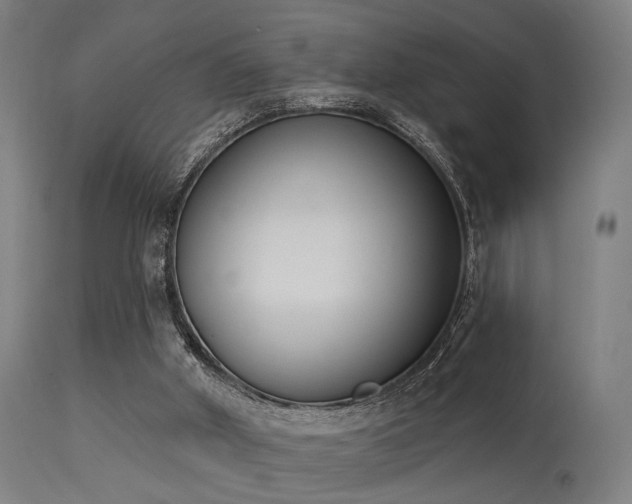 X0000113360010200909221210