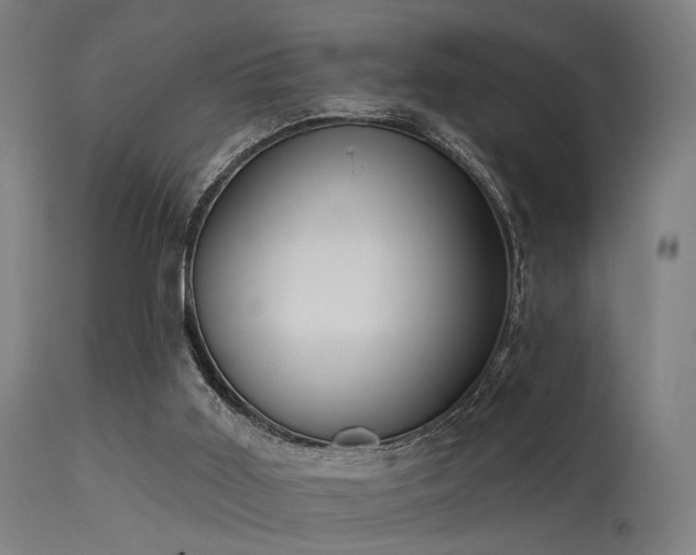 X0000113360011200909221210