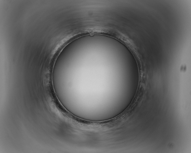 X0000113360012200909221210