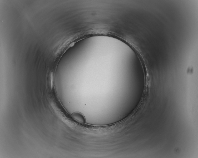 X0000113360013200909221210