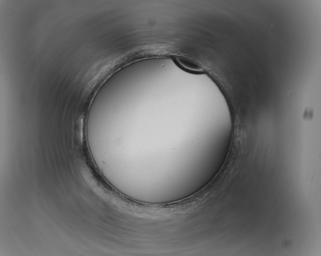 X0000113360014200909221210