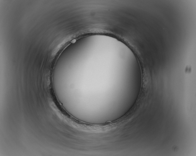 X0000113360015200909221210