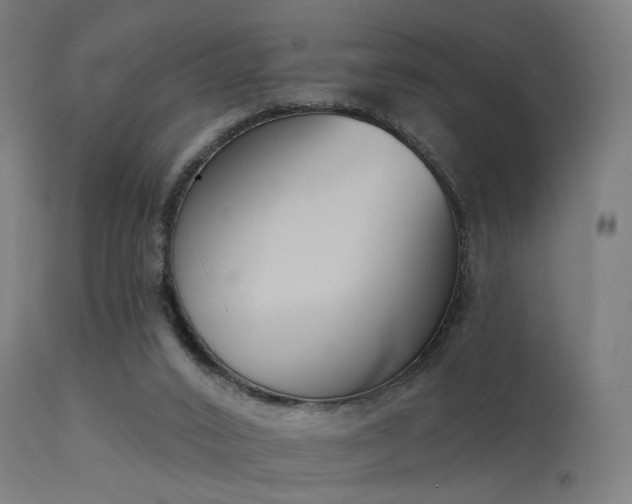 X0000113360016200909221210