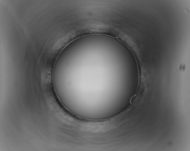 X0000113360017200909221210