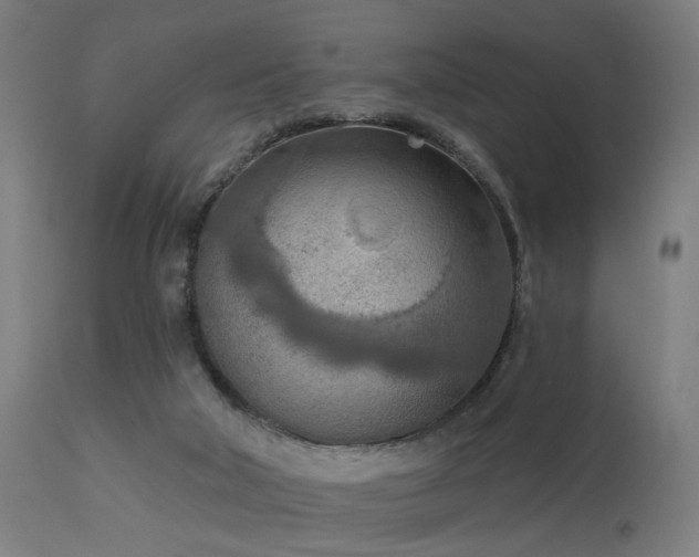 X0000113360018200909221210