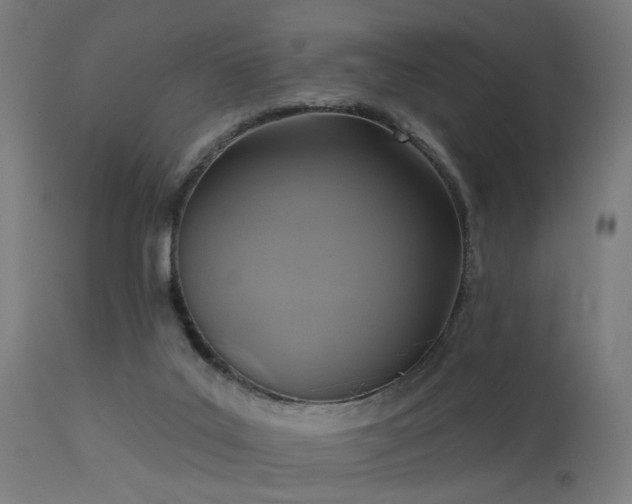 X0000113360019200909221210