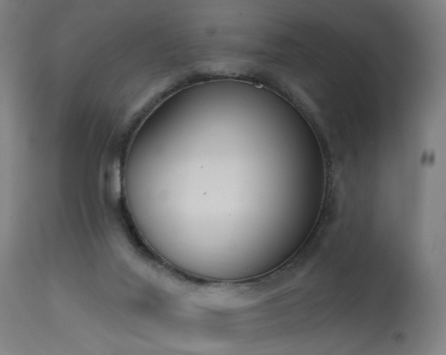 X0000113360020200909221210
