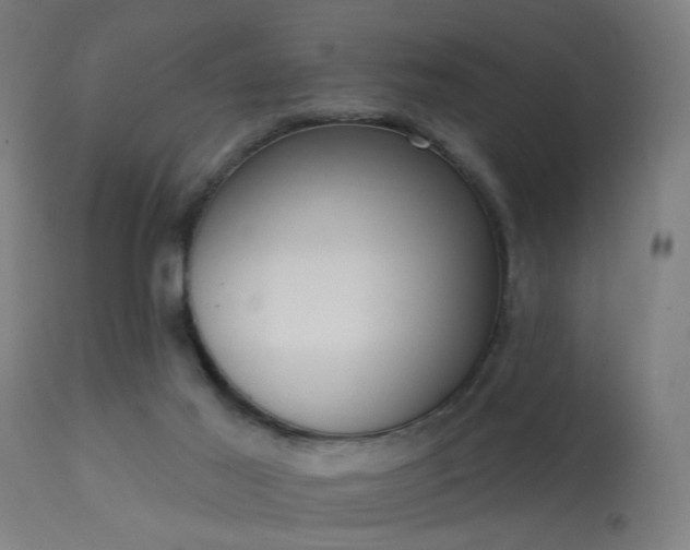 X0000113360021200909221210