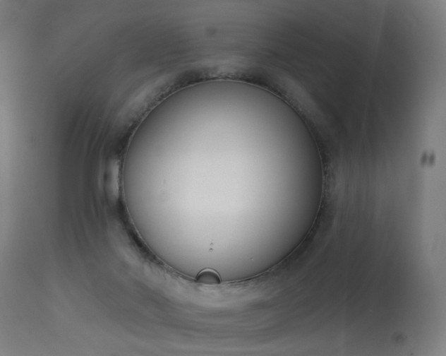 X0000113360022200909221210