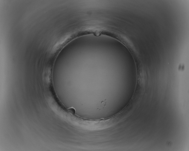 X0000113360023200909221210