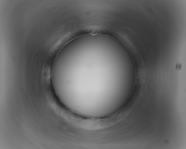 X0000113360024200909221210