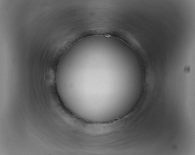 X0000113360025200909221210