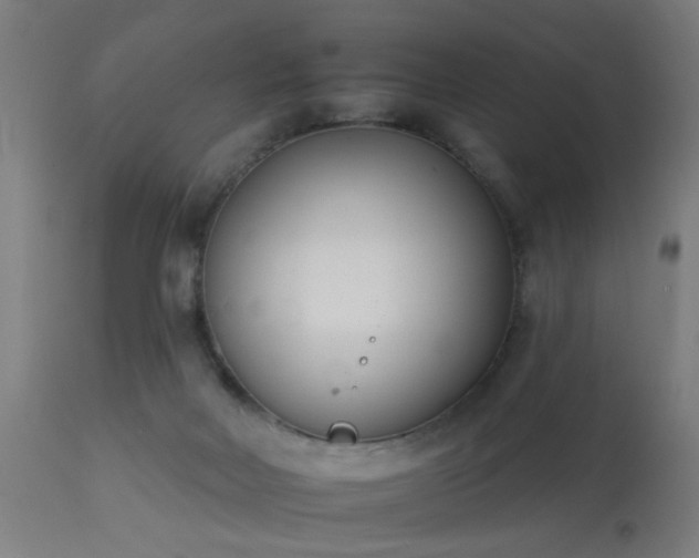 X0000113360026200909221210