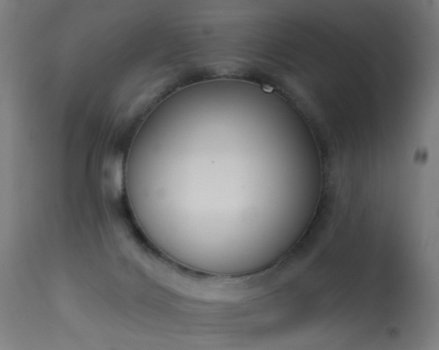 X0000113360028200909221210