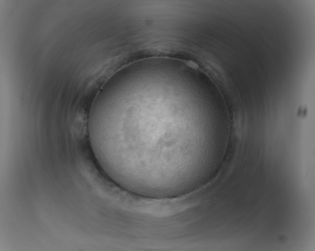 X0000113360029200909221210