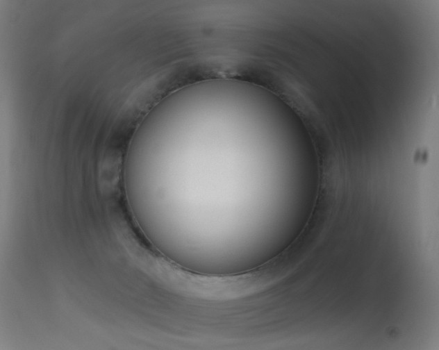 X0000113360030200909221210