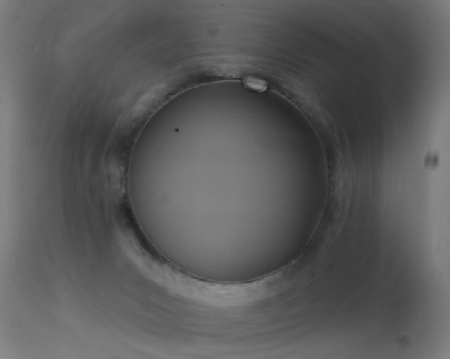 X0000113360031200909221210