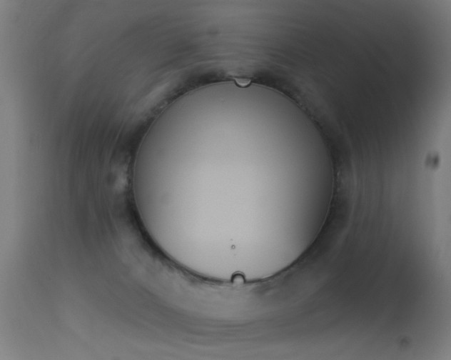 X0000113360032200909221210