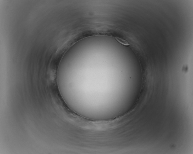 X0000113360033200909221210