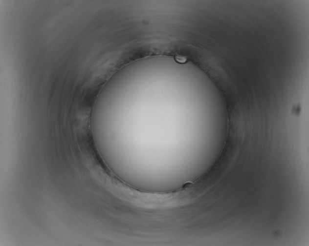 X0000113360034200909221210