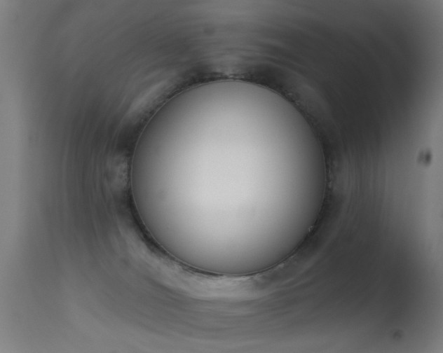 X0000113360036200909221210