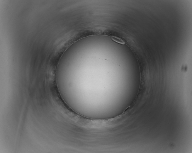 X0000113360037200909221210