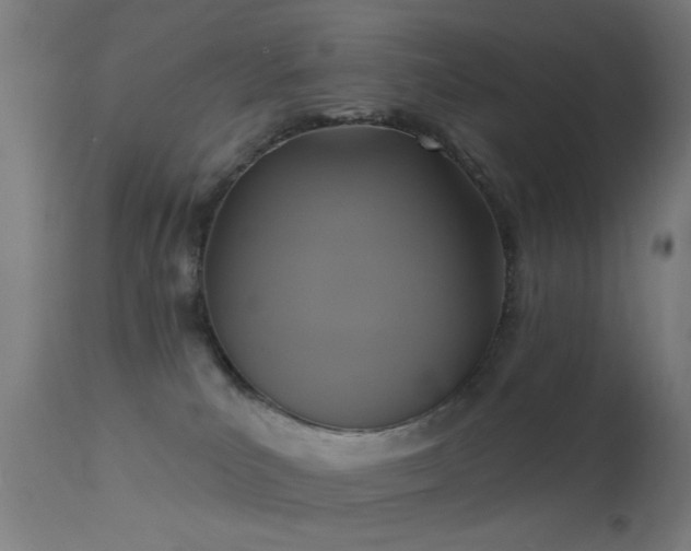 X0000113360039200909221210